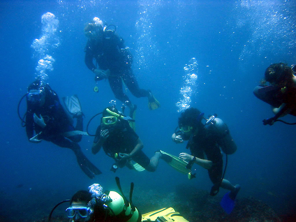 The Scuba Diver
